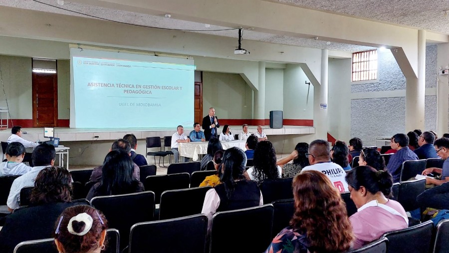 Asistencia Técnica en Gestión Escolar y Pedagógica